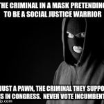 Criminal | THE CRIMINAL IN A MASK PRETENDING TO BE A SOCIAL JUSTICE WARRIOR; IS JUST A PAWN, THE CRIMINAL THEY SUPPORT IS IN CONGRESS.  NEVER VOTE INCUMBENT. | image tagged in criminal | made w/ Imgflip meme maker