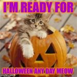 It’ll be Halloween any day Meow! | I’M READY FOR; HALLOWEEN ANY DAY MEOW | image tagged in halloween cat,super troopers,what meow,am i drinking milk from a saucer,pumkin,cats | made w/ Imgflip meme maker