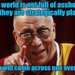 Dali Lama | The world is not full of assholes, but they are strategically placed, so you will come across one everyday. | image tagged in dali lama | made w/ Imgflip meme maker