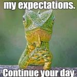 Sarcastic Lizard | You have met my expectations. Continue your day with pride and joy! | image tagged in sarcastic lizard | made w/ Imgflip meme maker