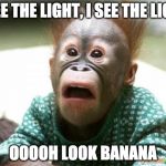 IS IT REALLY MONDAY? | I SEE THE LIGHT, I SEE THE LIGHT; OOOOH LOOK BANANA | image tagged in is it really monday | made w/ Imgflip meme maker