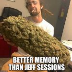 Session with Jeff Sessions | BETTER MEMORY THAN JEFF SESSIONS | image tagged in weed,funny,jeff sessions,politics,cannabis,marijuana | made w/ Imgflip meme maker