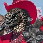 Frederica Wilson is a ghetto vulture 