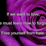Forgiveness is the scent the flower makes when it is crushed | If we want to love, We must learn how to forgive. Free yourself from hate. | image tagged in forgiveness is the scent the flower makes when it is crushed | made w/ Imgflip meme maker