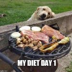diets  | MY DIET DAY 1 | image tagged in diet,dogs,bbq,hungry | made w/ Imgflip meme maker