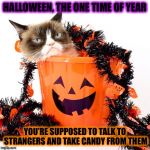Like taking candy from a stranger! | HALLOWEEN, THE ONE TIME OF YEAR; YOU’RE SUPPOSED TO TALK TO STRANGERS AND TAKE CANDY FROM THEM | image tagged in grumpy cat halloween,talk to strangers,take candy from strangers,go to the rich neighborhoids,its harder to tell the level 3s th | made w/ Imgflip meme maker