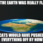 Checkmate! | IF THE EARTH WAS REALLY FLAT; CATS WOULD HAVE PUSHED EVERYTHING OFF BY NOW | image tagged in flat earth,cats,meow,iwanttobebacon | made w/ Imgflip meme maker