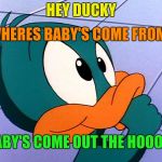 Where baby's come from ! | WHERES BABY'S COME FROM ? HEY DUCKY; BABY'S COME OUT THE HOOOOLE | image tagged in duck,funny,animals,memes,babys | made w/ Imgflip meme maker