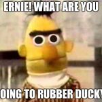 Sesame Street Bert | ERNIE! WHAT ARE YOU; DOING TO RUBBER DUCKY! | image tagged in sesame street bert | made w/ Imgflip meme maker