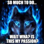 With passion comes fury - Paula Campbell | SO MUCH TO DO... WAIT WHA? IS THIS MY PASSION? | image tagged in with passion comes fury - paula campbell | made w/ Imgflip meme maker