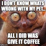 eyes | I DON'T KNOW WHATS WRONG WITH MY PET... ALL I DID WAS GIVE IT COFFEE | image tagged in eyes | made w/ Imgflip meme maker