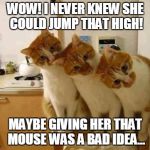3 Funny Cats | WOW! I NEVER KNEW SHE COULD JUMP THAT HIGH! MAYBE GIVING HER THAT MOUSE WAS A BAD IDEA... | image tagged in 3 funny cats,funny memes,memes,animals,funny animals | made w/ Imgflip meme maker