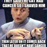 Dr Evil Cat | THEY SAID THE CAT HAD CANCER SO I SHAVED HIM; THEN LATER ON IT COMES BACK THAT HE DOESN'T HAVE CANCER | image tagged in dr evil cat | made w/ Imgflip meme maker