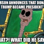 What Did He Say Spongebob Meme | *PERSON ANNOUNCES THAT DONALD TRUMP BECAME PRESIDENT*; WHAT?! WHAT DID HE SAY?!! | image tagged in what did he say spongebob meme | made w/ Imgflip meme maker