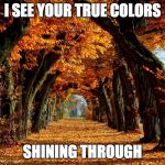Autumn leaves | I SEE YOUR TRUE COLORS; SHINING THROUGH | image tagged in autumn leaves | made w/ Imgflip meme maker