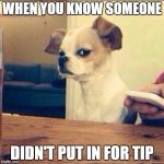 Skeptical Chihuahua | WHEN YOU KNOW SOMEONE; DIDN'T PUT IN FOR TIP | image tagged in skeptical chihuahua | made w/ Imgflip meme maker