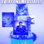 Meditate cat | EVERYONE MEDITATES; EXCEPT YOU | image tagged in meditate cat | made w/ Imgflip meme maker