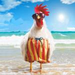 Chicken Beach
