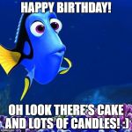 doris nemo | HAPPY BIRTHDAY! OH LOOK THERE'S CAKE AND LOTS OF CANDLES! :) | image tagged in doris nemo | made w/ Imgflip meme maker