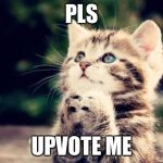 Upvote me! | PLS; UPVOTE ME | image tagged in cute kitten | made w/ Imgflip meme maker