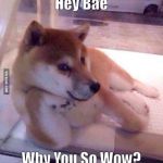 Flirting Doge | Hey Bae; Why You So Wow? | image tagged in flirting doge | made w/ Imgflip meme maker
