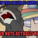 that weird painful feeling... | WHEN YOU SNEEZE SO HARD THAT; YOUR NUTS ACTUALLY HURT | image tagged in tom and jerry,nuts,pain,crotch,weird | made w/ Imgflip meme maker