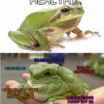 Skinny and fat frog | HELLO IM TOTALLY HEALTHY; IM DEAD INSIDE; PLEASE KILL ME; END MY SUFFERING; WHEN YOU SAY YOU'RE FINE BUT YOU'RE NOT REALLY FINE; IM FULL OF DIABETES; I KNOW I LOOK FUNNY BUT IM SRERIOUSLY DYING | image tagged in skinny and fat frog | made w/ Imgflip meme maker