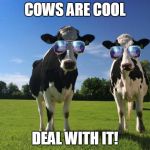 cool cows | COWS ARE COOL; DEAL WITH IT! | image tagged in cool cows | made w/ Imgflip meme maker