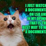 lsd brownies | I JUST WATCHED A DOCUMENTARY ON LSD AND IN MY OPINION THAT IS THE BEST WAY TO WATCH A DOCUMENTARY | image tagged in lsd brownies,funny,funny memes,memes,cats | made w/ Imgflip meme maker