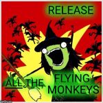Flying Monkeys are on the way! | RELEASE; FLYING MONKEYS; ALL THE; ___ | image tagged in x-all-the-y-wicked-witch-broom,flying monkeys,on the way,wizard of oz,halloween | made w/ Imgflip meme maker