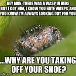 Misunderstood Spider | HEY MAN, THERE WAS A WASP IN HERE BUT I GOT HIM, I KNOW YOU HATE WASPS, AND YOU KNOW I'M ALWAYS LOOKING OUT FOR YOU-; ...WHY ARE YOU TAKING OFF YOUR SHOE? | image tagged in misunderstood spider | made w/ Imgflip meme maker