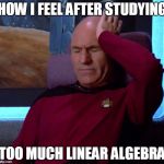 Picard Headache | HOW I FEEL AFTER STUDYING; TOO MUCH LINEAR ALGEBRA | image tagged in picard headache | made w/ Imgflip meme maker
