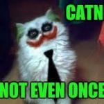 Don't let your cats do drugs  | CATNIP; NOT EVEN ONCE | image tagged in joker cat,memes,funny,catnip | made w/ Imgflip meme maker