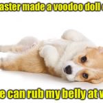 Give me a belly rub | My master made a voodoo doll of me; so he can rub my belly at work | image tagged in give me a belly rub,memes,dogs,voodoo doll | made w/ Imgflip meme maker