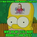 Homer Monkey | IF MAN EVOLVED FROM MONKEYS AND APES; WHY DO WE STILL HAVE MONKEYS AND APES? | image tagged in homer monkey,apes,memes,evolution,monkeys,why | made w/ Imgflip meme maker