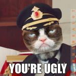 Cat-Pain Obvious | YOU'RE UGLY | image tagged in cat-pain obvious,memes,captain obvious,grumpy cat | made w/ Imgflip meme maker