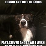 Harry Potter as a dog | I CAN BE DOG OR HUMAN WHENEVER I WISH,A LONG FLOPPY TONGUE AND LOTS OF BARKS; FAST,CLEVER AND LOYAL I WISH TO BE A DOG. NOT JUST ANY DOG A -BREED OF DOG.........CRAP | image tagged in harry potter as a dog | made w/ Imgflip meme maker