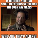 Halloween Aliens | IN OCTOBER, YOU FIND SMALL CREATURES SKITTERING THROUGH HAY MAZES; WHO ARE THEY? ALIENS! | image tagged in halloween aliens | made w/ Imgflip meme maker