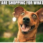 It's almost holiday time! | WE ARE SHOPPING FOR WHAT?? | image tagged in it's almost holiday time | made w/ Imgflip meme maker