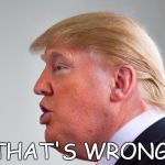 Wrong! | "THAT'S WRONG!" | image tagged in wrong | made w/ Imgflip meme maker