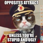 Cat-Pain Obvious | OPPOSITES ATTRACT; UNLESS YOU'RE STUPID AND UGLY | image tagged in cat-pain obvious,memes,captain obvious,grumpy cat | made w/ Imgflip meme maker