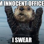 Hands up otter | I'M INNOCENT OFFICER; I SWEAR | image tagged in hands up otter | made w/ Imgflip meme maker