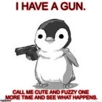 Penguin Holding Gun | I HAVE A GUN. CALL ME CUTE AND FUZZY ONE MORE TIME AND SEE WHAT HAPPENS. | image tagged in penguin holding gun | made w/ Imgflip meme maker