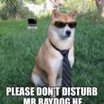 Business doge | 💻; PLEASE DON’T DISTURB MR.RAYDOG HE HAS BUSINESS TO DO | image tagged in business doge | made w/ Imgflip meme maker