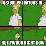 Homer bush | SEXUAL PREDATORS IN; HOLLYWOOD RIGHT NOW | image tagged in homer bush | made w/ Imgflip meme maker