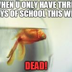 Dead Fish | WHEN U ONLY HAVE THREE DAYS OF SCHOOL THIS WEEK; DEAD! | image tagged in dead fish | made w/ Imgflip meme maker