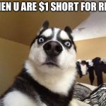 Rent | WHEN U ARE $1 SHORT FOR RENT | image tagged in husky richard,memes,rent | made w/ Imgflip meme maker