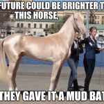 Shiny Horse | MY FUTURE COULD BE BRIGHTER THAN THIS HORSE, IF THEY GAVE IT A MUD BATH. | image tagged in shiny horse | made w/ Imgflip meme maker