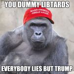 he alone tells the truth | YOU DUMMY LIBTARDS; EVERYBODY LIES BUT TRUMP | image tagged in maga harambe,trump,lies,truth,libtards | made w/ Imgflip meme maker