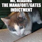 Reading cat | ME, READING THE MANAFORT/GATES INDICTMENT | image tagged in reading cat | made w/ Imgflip meme maker